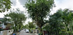 Henry Park (D10), Semi-Detached #528958031